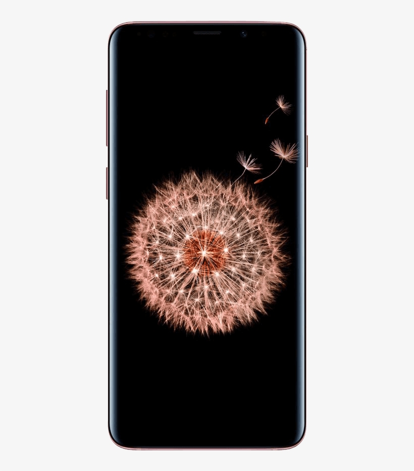 Download - Flowers On Black Background, transparent png download