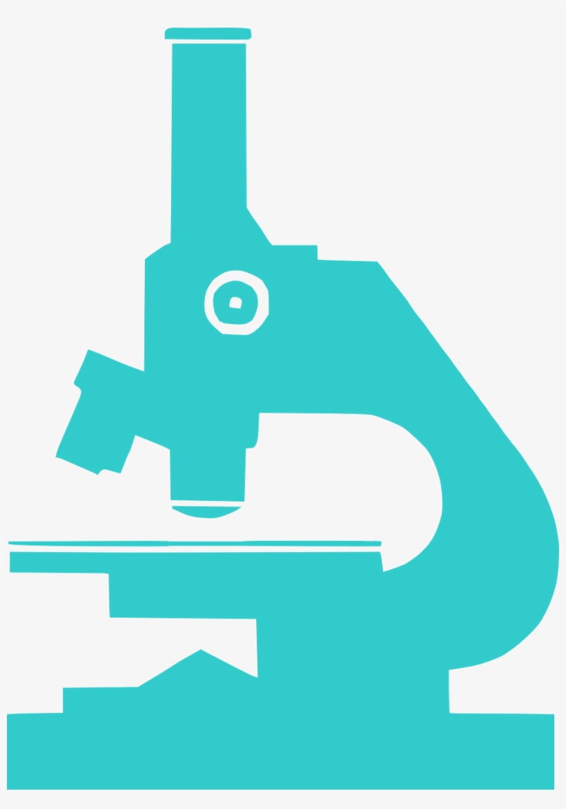 A Beginner's Guide To Conversion Rate Optimization - Smk Kesehatan Tpa Jember, transparent png download