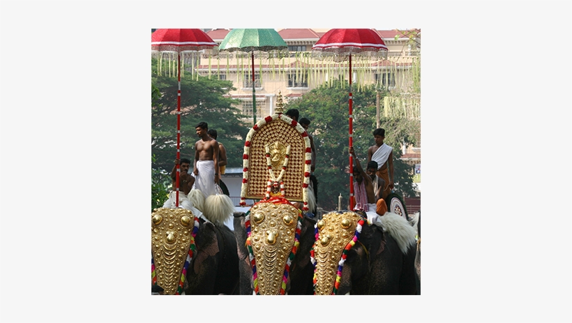 Layer - Indian Elephant, transparent png download