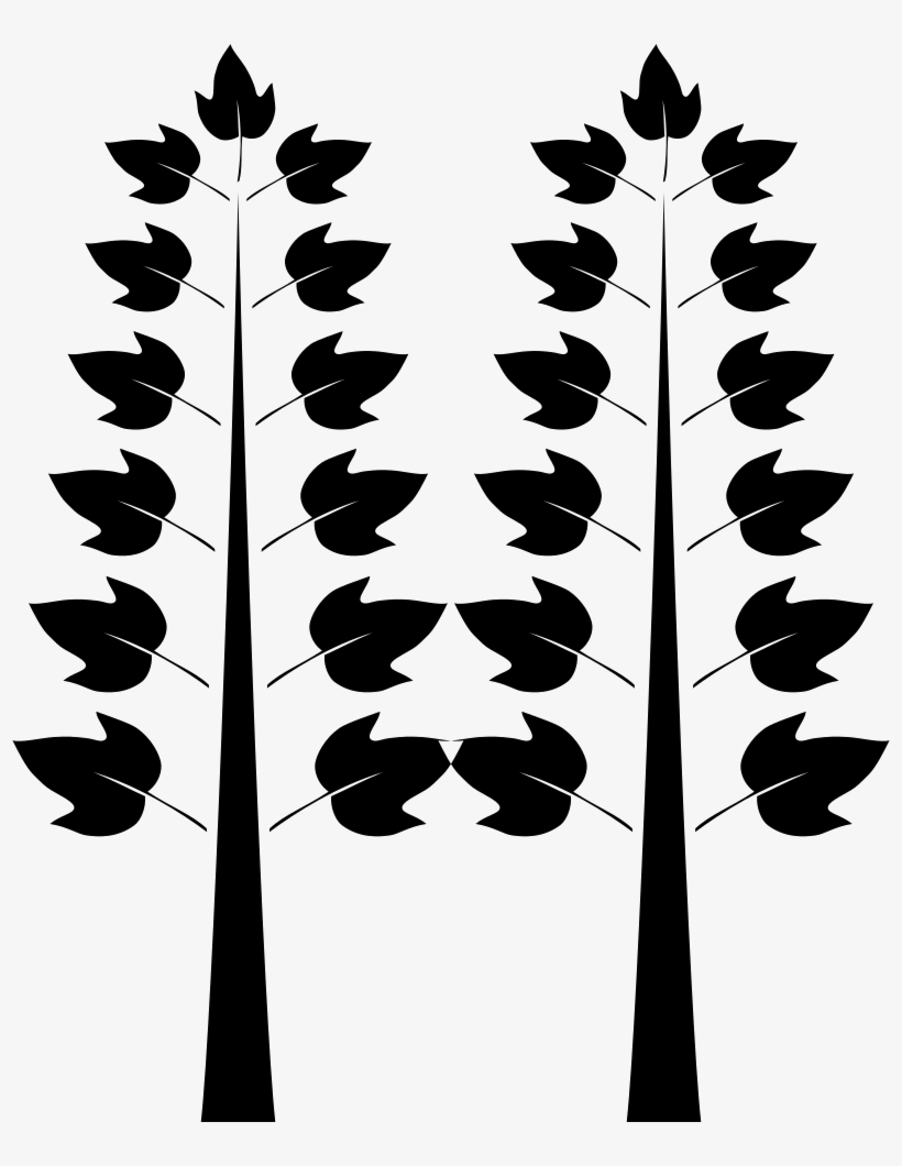 Png File - Floral Design, transparent png download