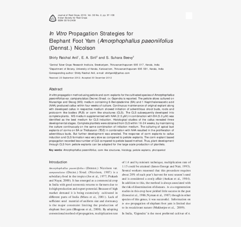 Pdf - Village Carpenter Bringing A Coffin, transparent png download