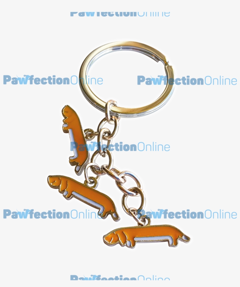 The Three Stainless Steel Orange Dachshunds Make Such - Keychain, transparent png download
