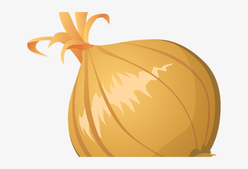 Related Posts - Onion Art Transparent, transparent png download