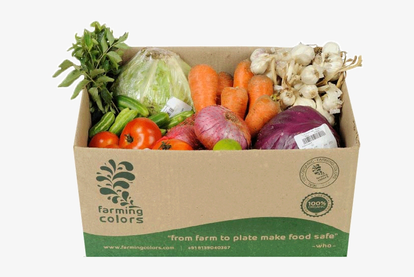 Phone 9496-055551 - Cabbage, transparent png download