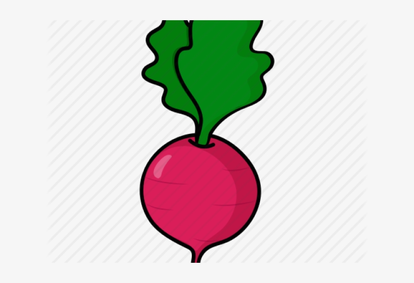 Beetroot Clipart Vegitables - Clipart Beetroot, transparent png download