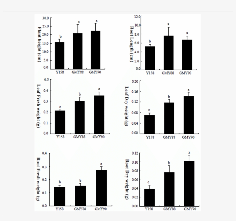 Quantitative Analysis Of The Plant Height, Root Length, - Diagram, transparent png download