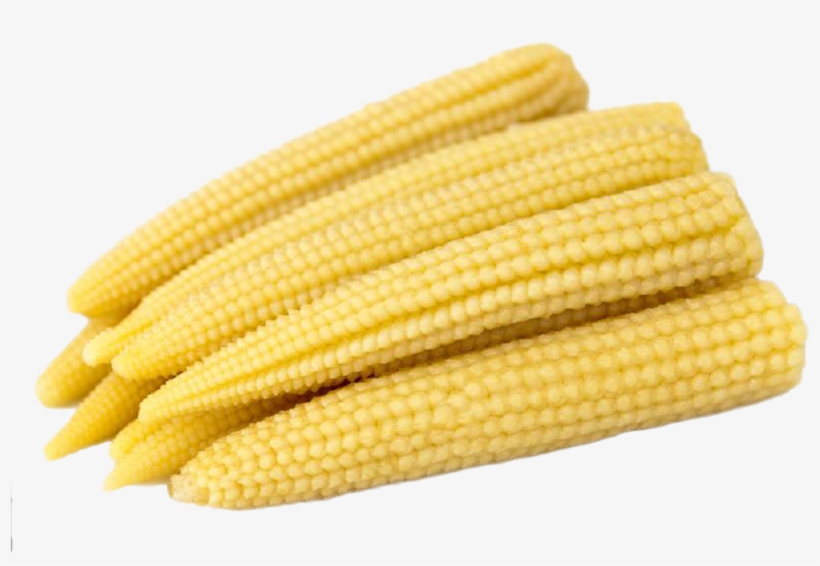 Baby Corn - Baby Corn Thailand, transparent png download