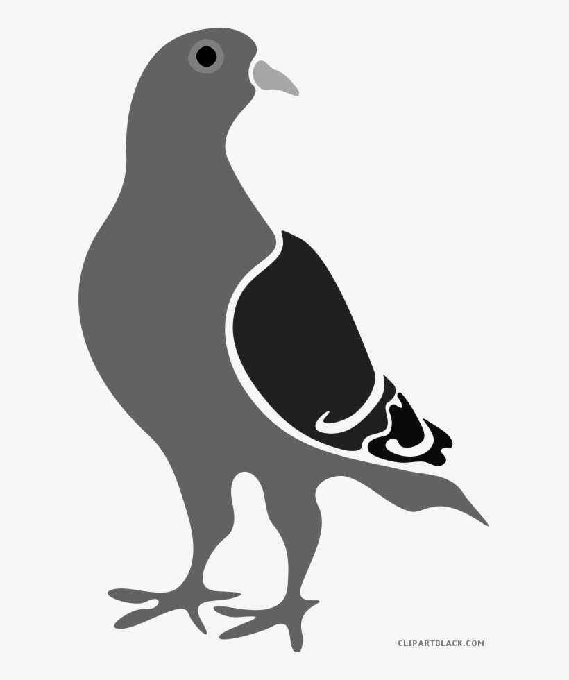 Pigeon Clipart - Pigeon Silhouette, transparent png download