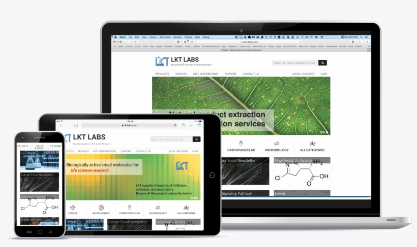 Lkt Labs Ecommerce Website Filemaker Integration - Operating System, transparent png download