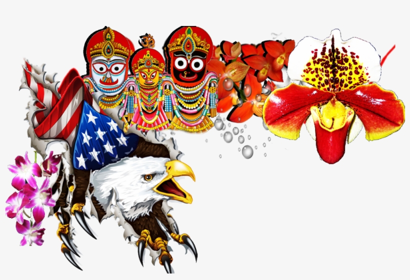 Portese Bien Alright Pues - Free American Bald Eagle Png, transparent png download