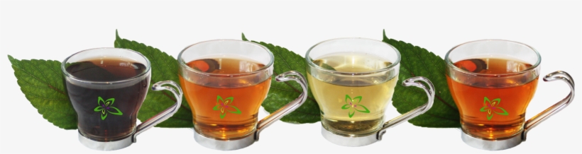 Organic Mamaki Hawaii Health - Cup, transparent png download