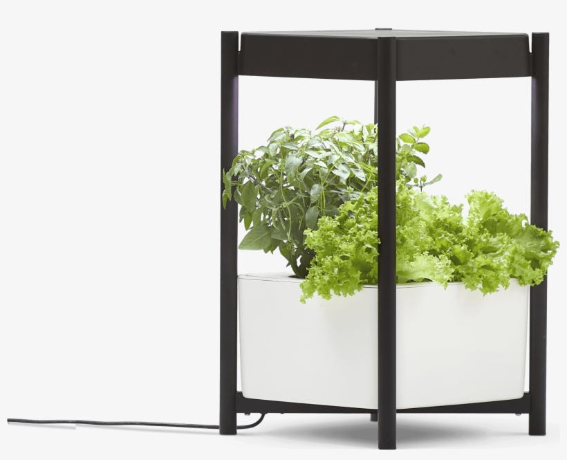 Miraclegro® Twelve™ Indoor Growing System Tree PNG Image
