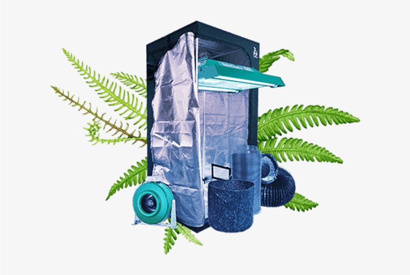 Grow Tents & Kits - Tree, transparent png download