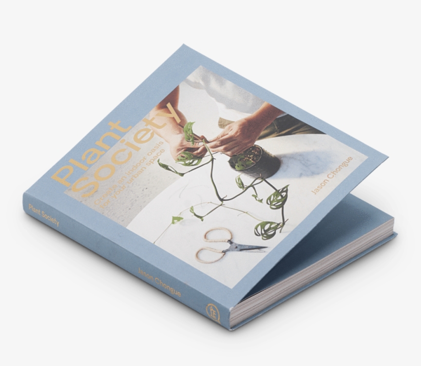 Create An Indoor Oasis For Your Urban Space - Sketch Pad, transparent png download