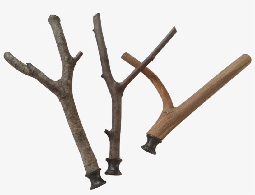 Wood, transparent png download