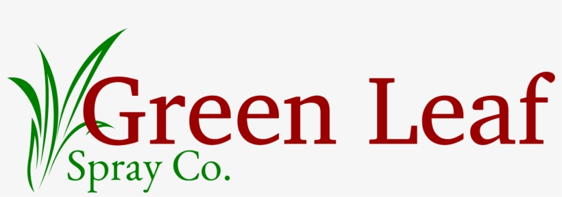 Copyright © 2019 Green Leaf Spray Co - Graphic Design, transparent png download