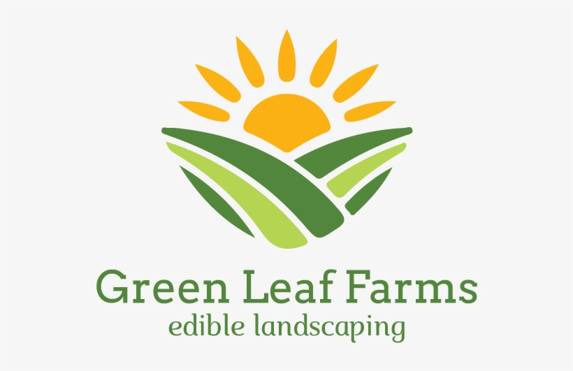 Logo Design By Antoine Shingu For This Project - Graphic Design, transparent png download