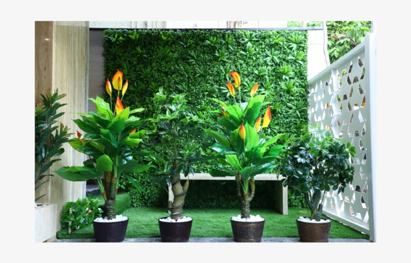 Artificial Plants Bangalore 1st Home Check It S 1sthome - Bird Of Paradise, transparent png download
