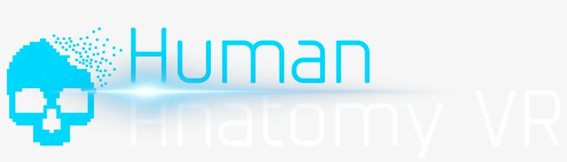 Human Anatomy Vr - Colorfulness, transparent png download