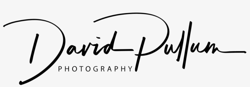 Wedding Photographer Devon, Somerset Cornwall - Calligraphy, transparent png download