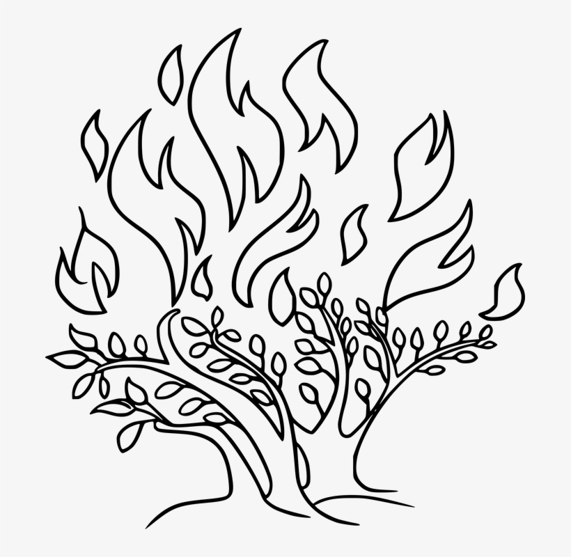 Download Moses Black And White Clipart | Transparent PNG Download | SeekPNG