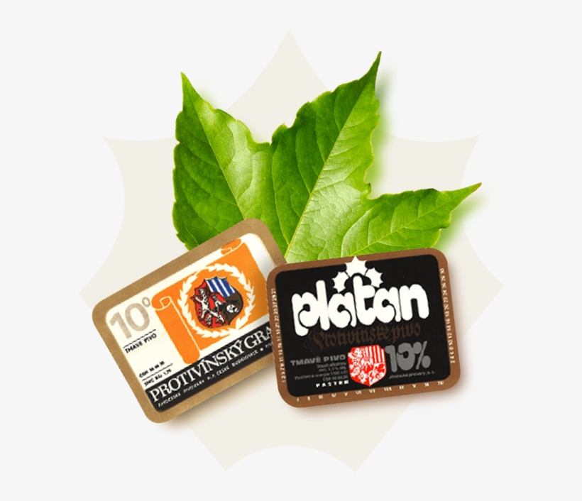 Nationalisation - Label, transparent png download