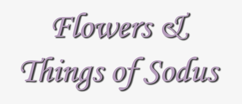 Flowers & Things Of Sodus - Calligraphy, transparent png download