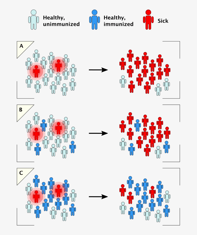 When No One In A Population Is Vaccinated, Infections - Herd Immunity Figure, transparent png download