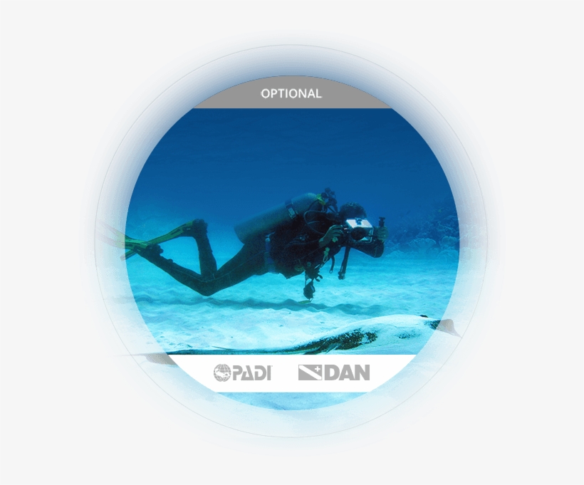 Learn More Specialty Courses - Scuba Diver, transparent png download