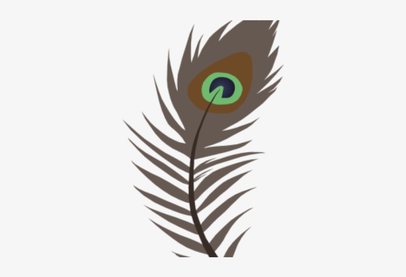 Fluted Clipart Peacock Feather - Illustration, transparent png download