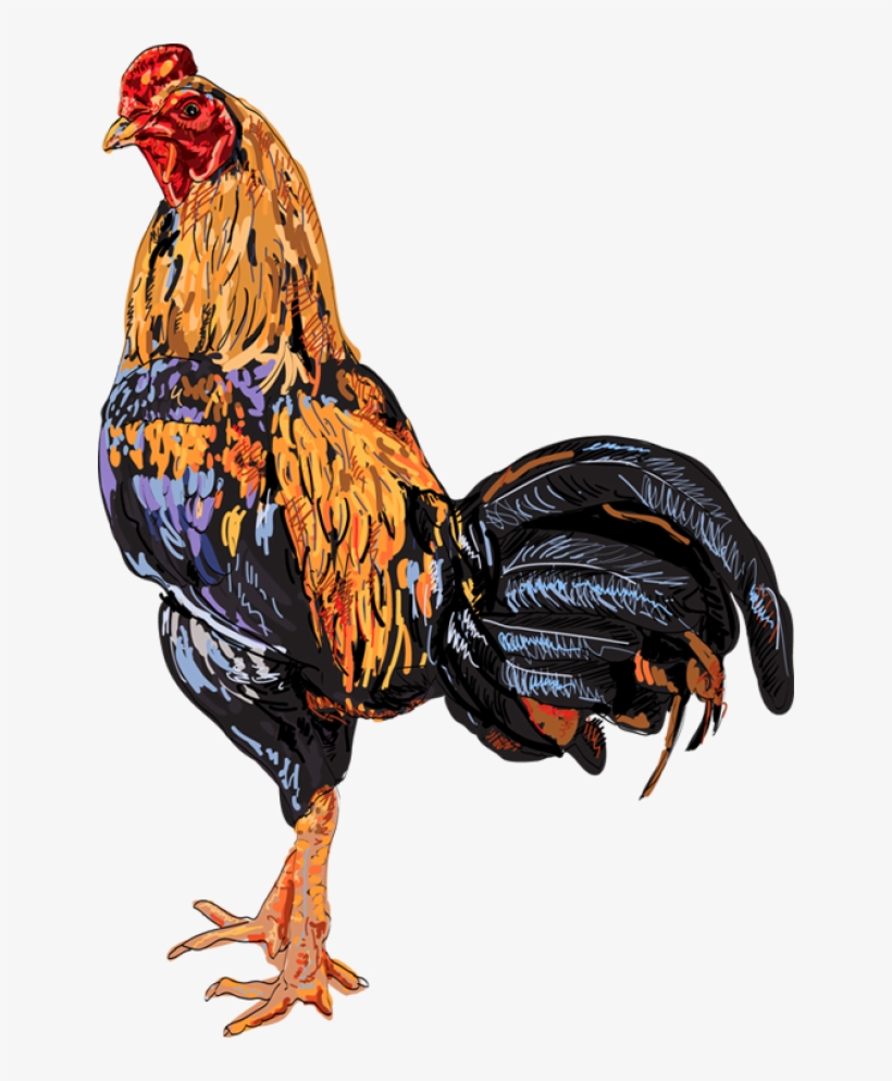 Quality Clip Art Of Animals That Live On A Farm - Clip Art, transparent png download