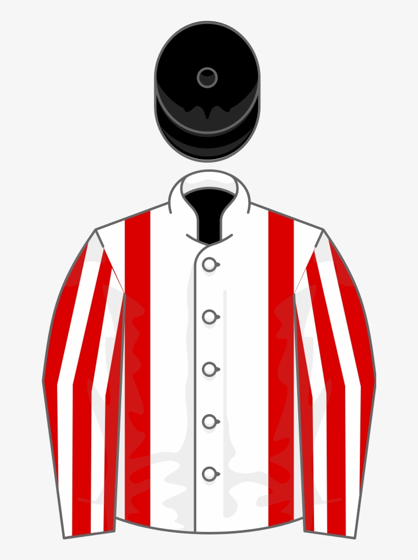 Owner Mr B Robe - Portable Network Graphics, transparent png download