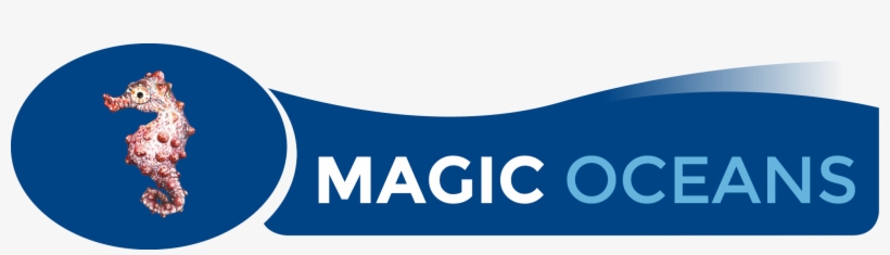 Magic Oceans Dive Resort In Anda Has A Special Offer - Banner, transparent png download