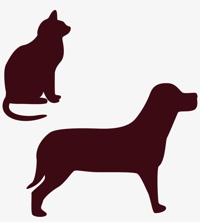 2362 X 2362 19 - Black Cat, transparent png download