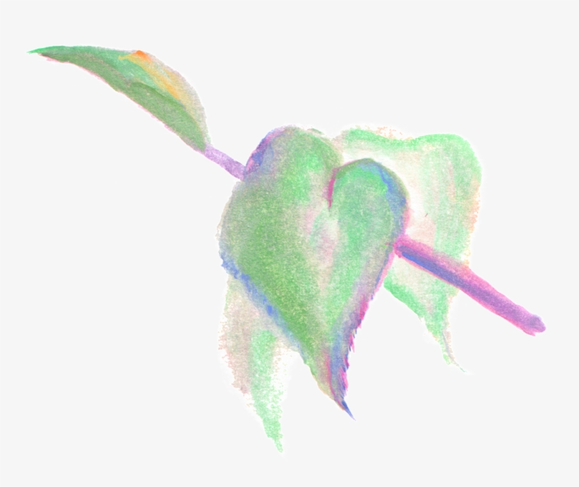 Green Foliage Transparent Decorative - Child Art, transparent png download