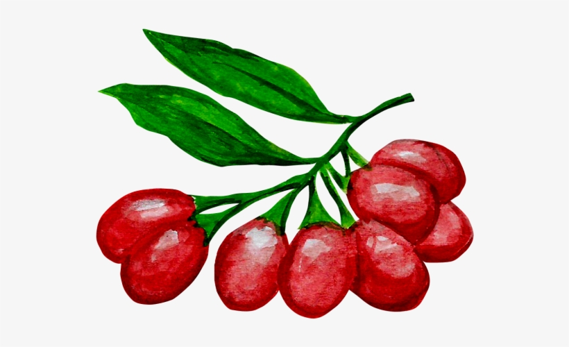 Goji Berries - Jujube, transparent png download