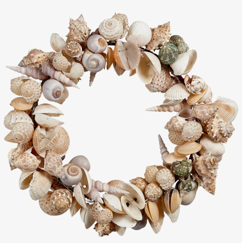 Clip Art Images - Shell Wreath Png, transparent png download
