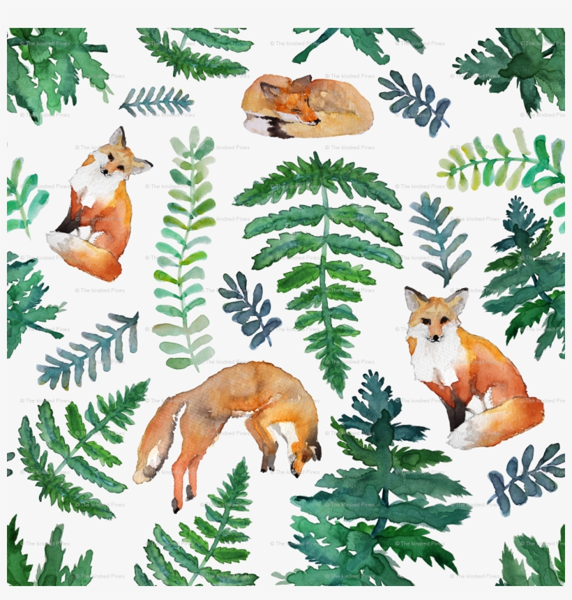 Red Fox, transparent png download