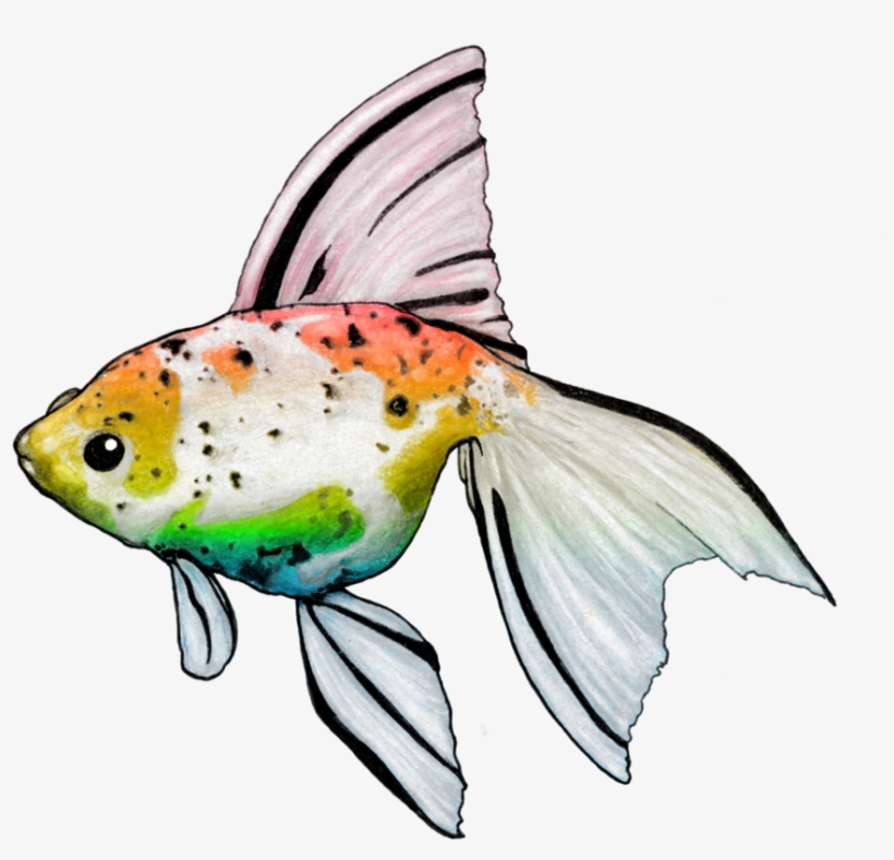 Rainbow Golfish By Nickidoodles - Bony-fish, transparent png download
