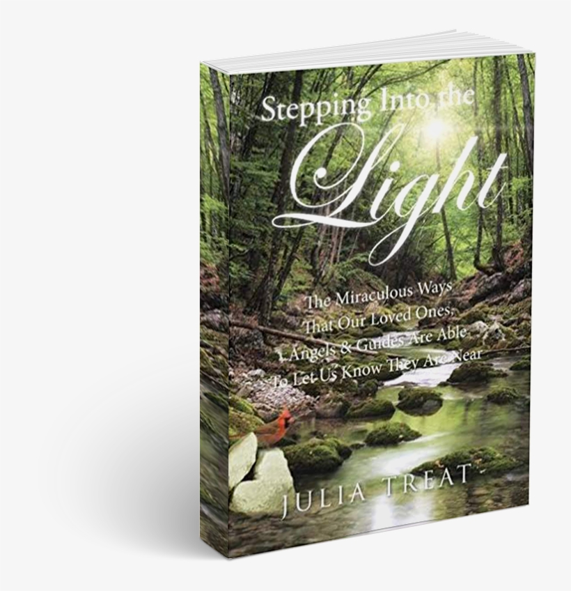 Stepping Into The Light The Book The Miraculous Ways - Gila Monster, transparent png download