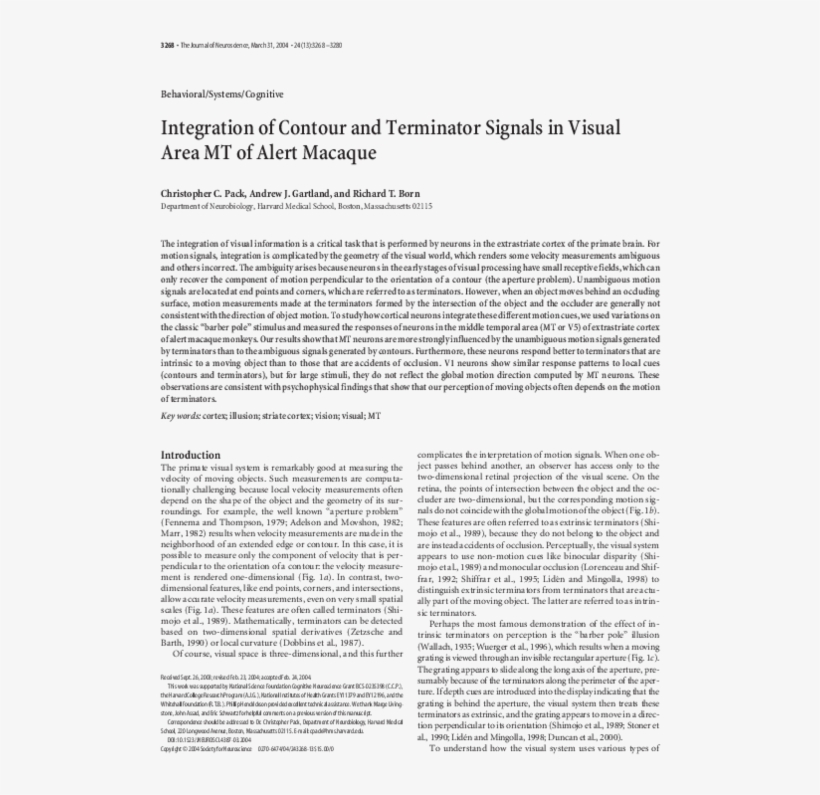 Pdf - Goose Tower In Vordingborg, Zealand, transparent png download