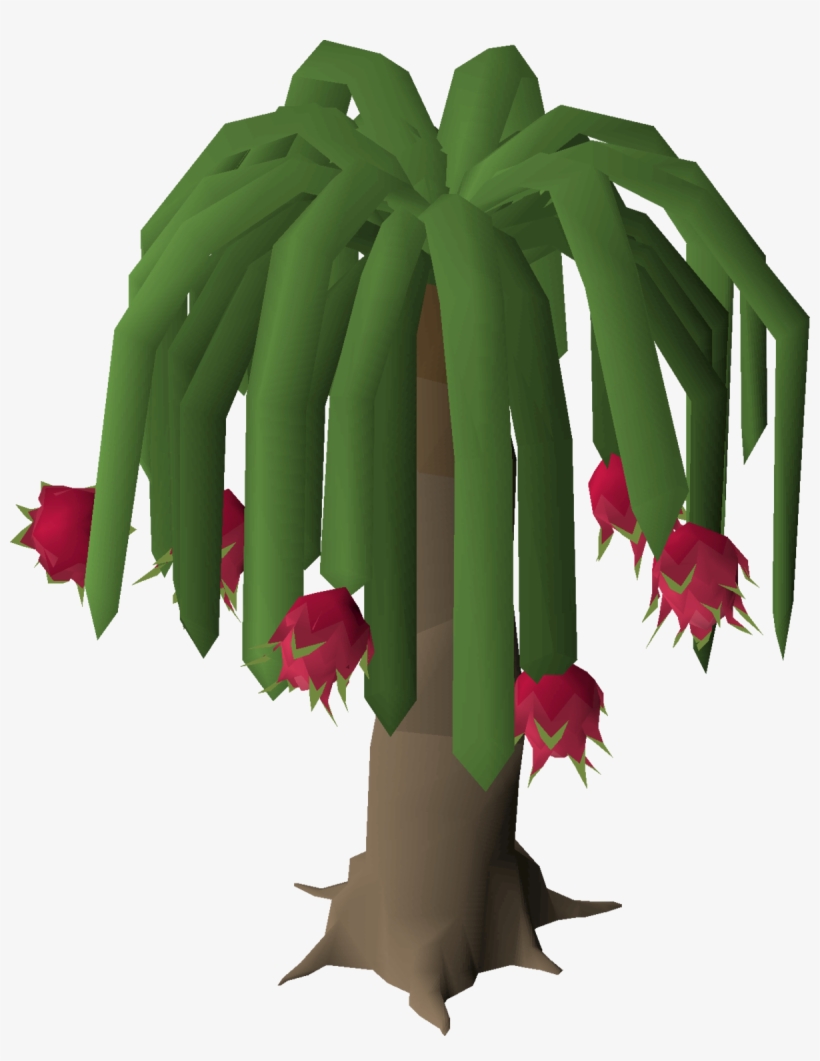 Palm Tree, transparent png download