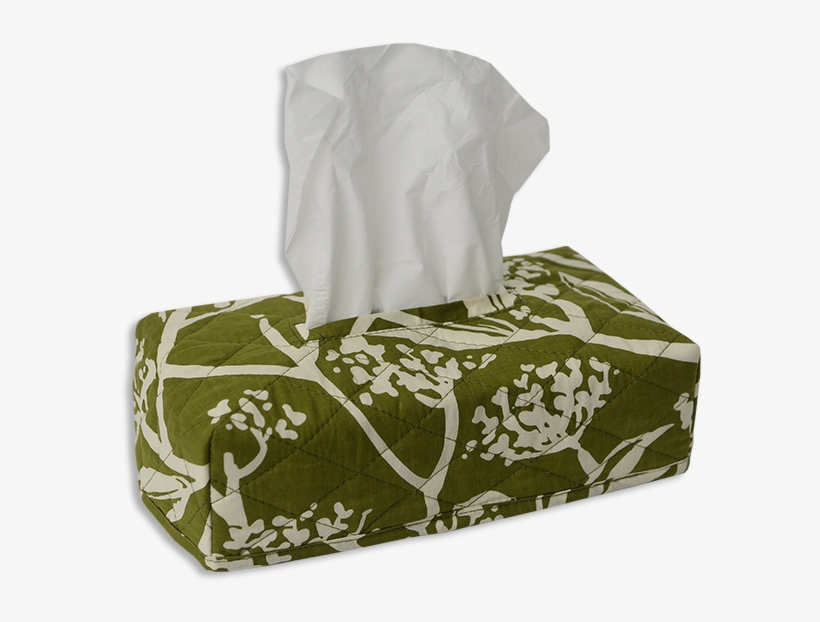 Frangipani Avocado Tissue Box Cover - Facial Tissue, transparent png download
