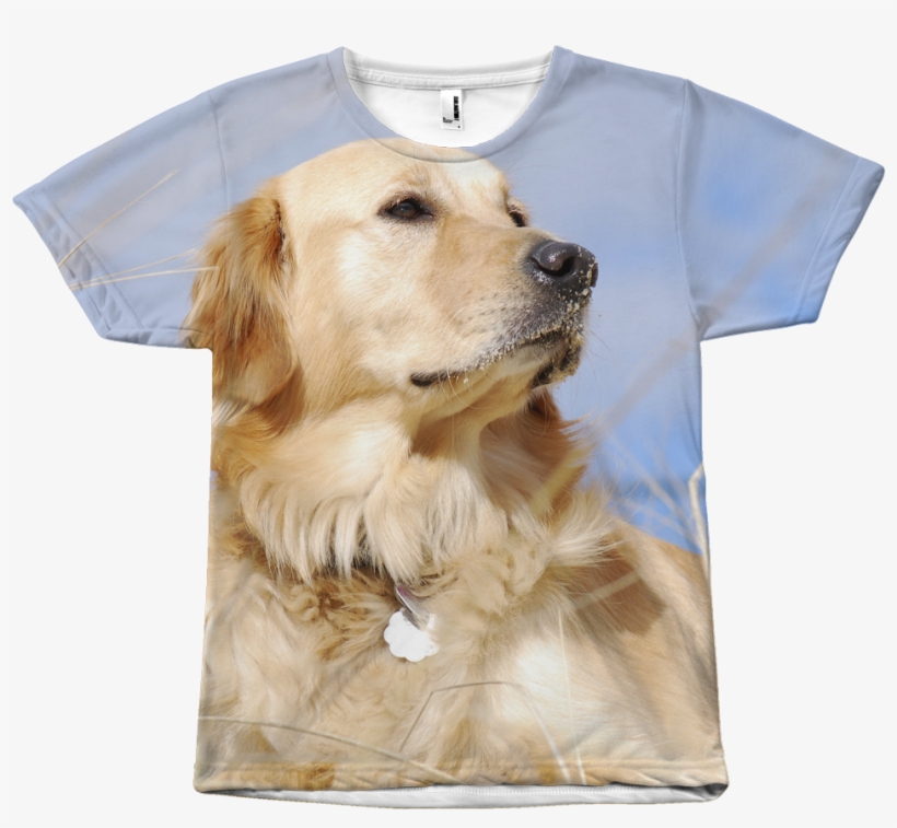 Golden Retriever Shirt - Golden Retriever, transparent png download