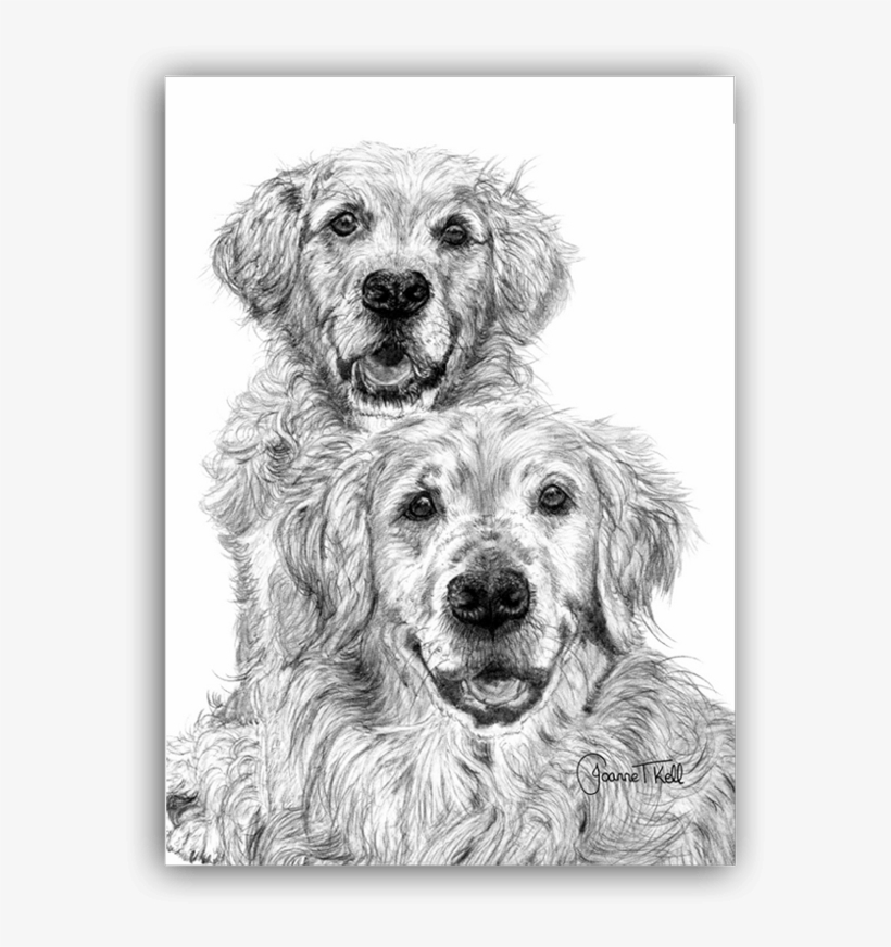 Golden Retriever Greeting Card - Golden Retriever, transparent png download