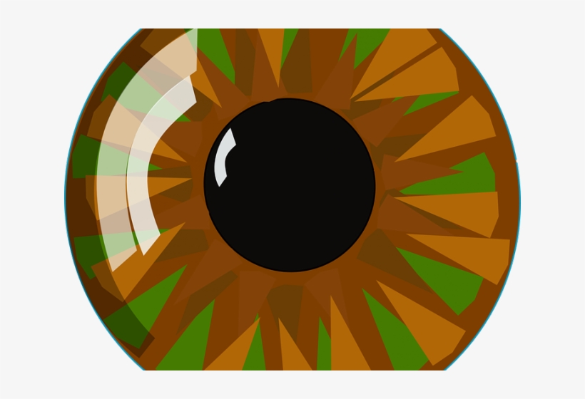 Hazel Eyes Clipart Human Eye - Clip Art, transparent png download