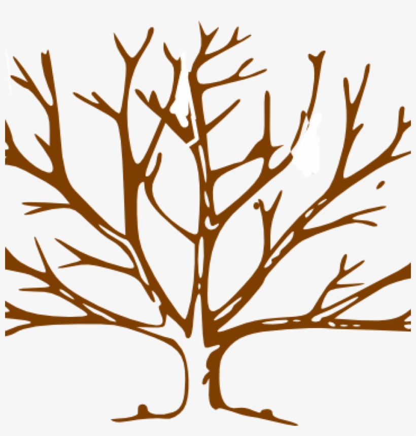 Bare Tree Clipart Brown Clip Art At Clker Vector Online - Draw A Tree With Snow, transparent png download