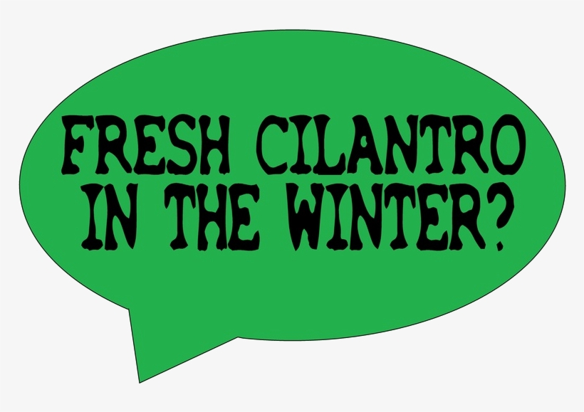 Fresh Cilantro In The Winter - Corporate Responsibility, transparent png download