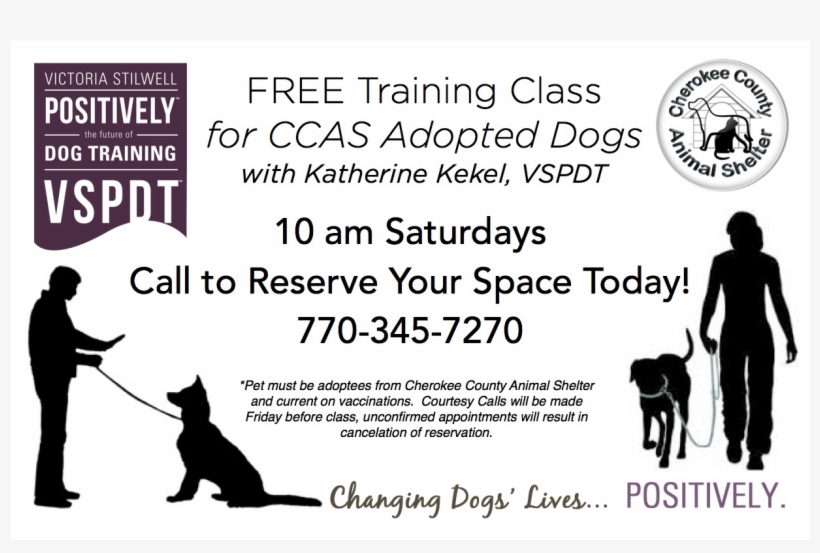 Com And At Checkout Enter The Code - Silhouette, transparent png download