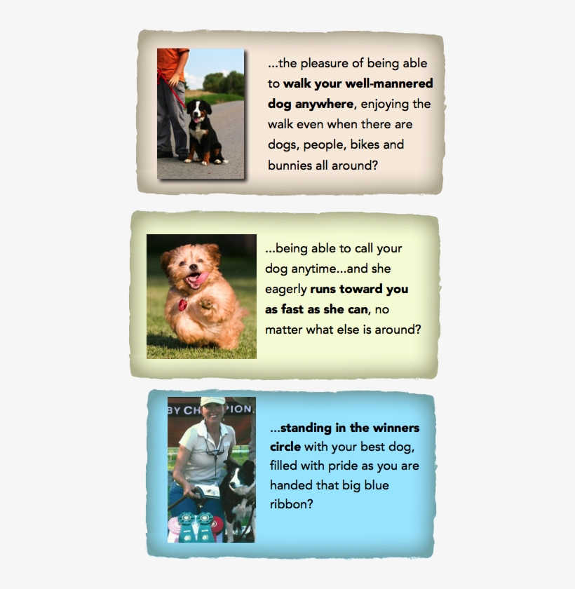 Imagine Your Well-behaved And Trained Dog - Dog Licks, transparent png download